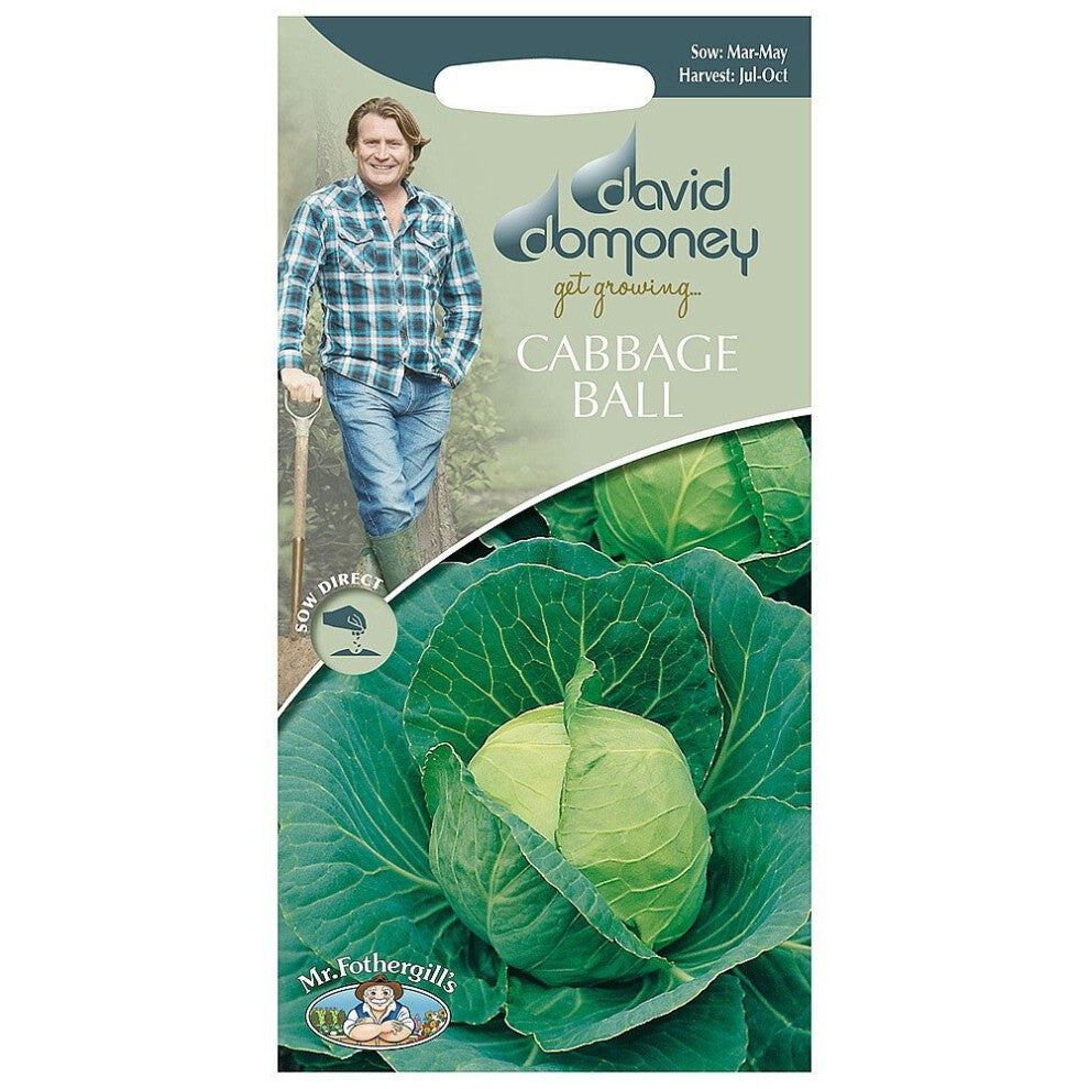 Mr.Fothergill's David Domoney Cabbage Ball (Golden Acre/primo (II) Seeds