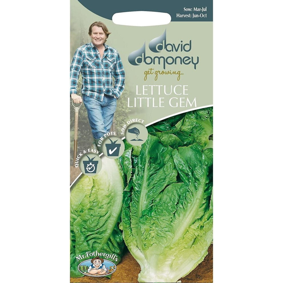 Mr.Fothergill's David Domoney Vegetables Lettuce Little Gem Seeds Pkt