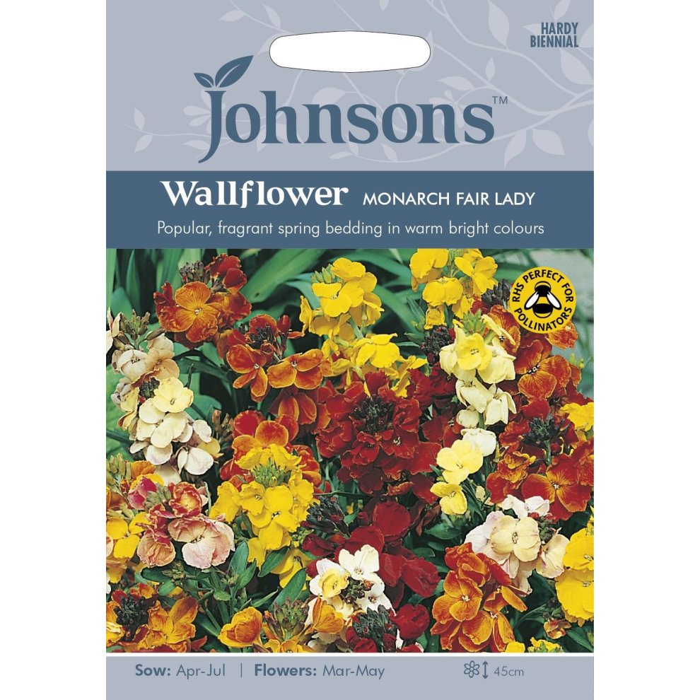 Johnsons Seeds - Pictorial Pack - Flower - Wallflower Monarch Fair Lady - 500 Seeds