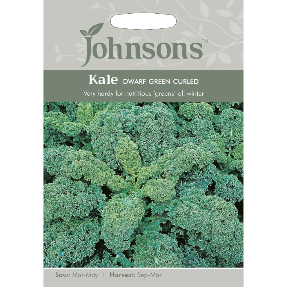 Johnsons Seeds - Pictorial Pack - Vegetable - Kale Dwarf Green Curled - 400 Seeds