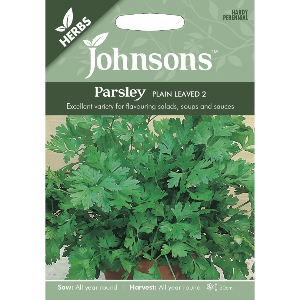 Johnsons Seeds - Pictorial Pack - Herb - Parsley Plain Leaved - 1000 Seeds