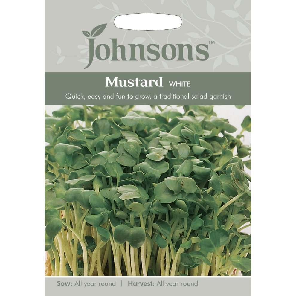 Johnsons Seeds - Pictorial Pack - Vegetable - Mustard White - 1750 Seeds