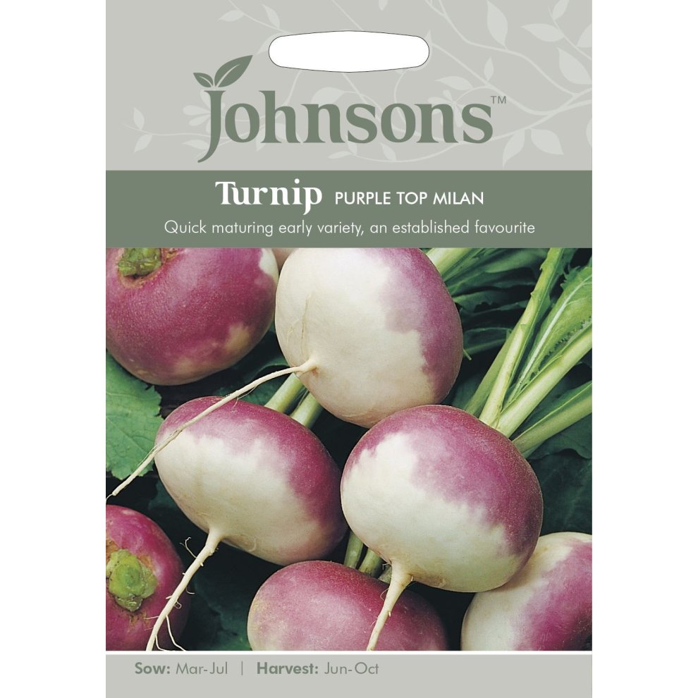 Johnsons Seeds - Pictorial Pack - Vegetable - Turnip Purple Top Milan - 1750 Seeds