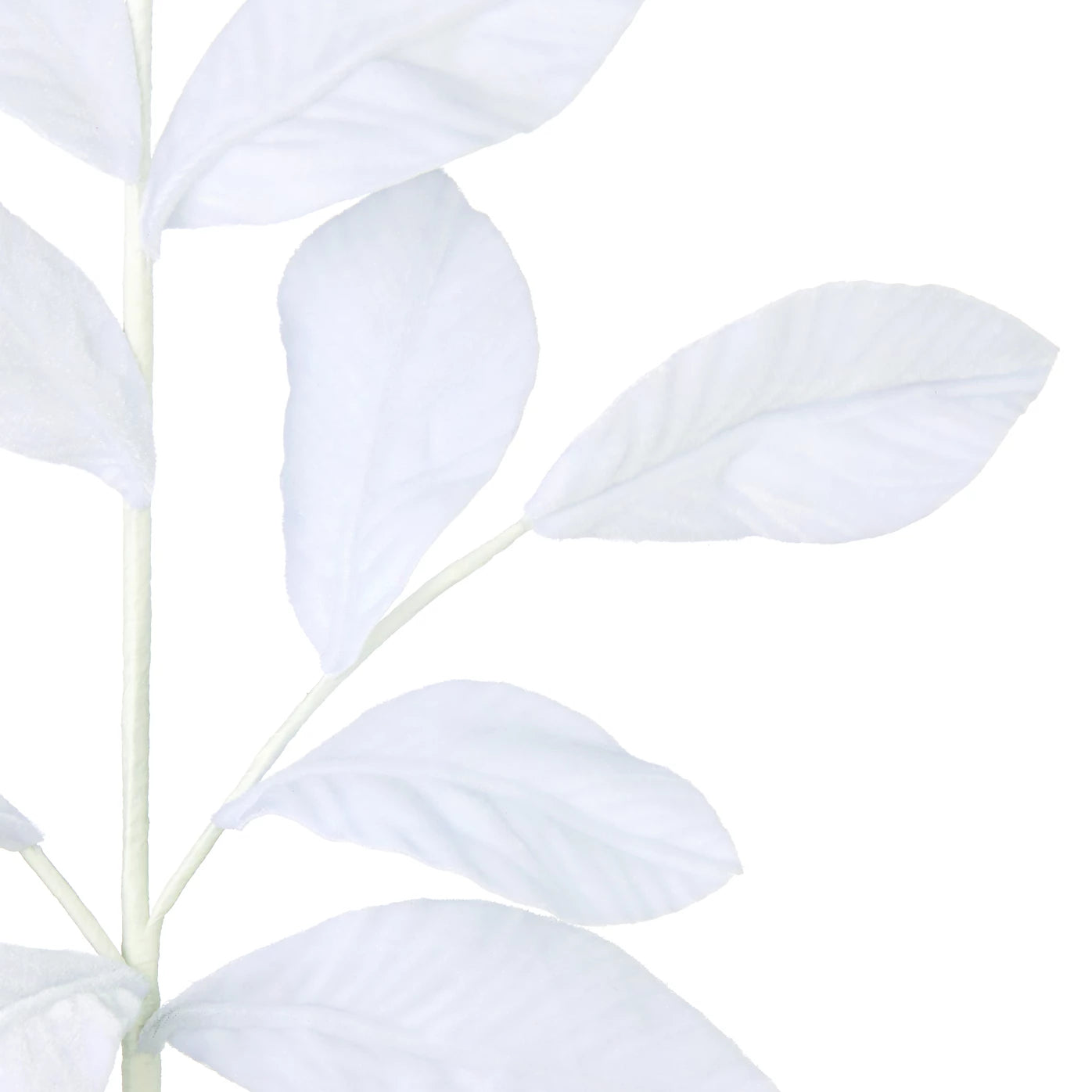 2 x Premier Decorations Limited White Velvet Leaf Stem