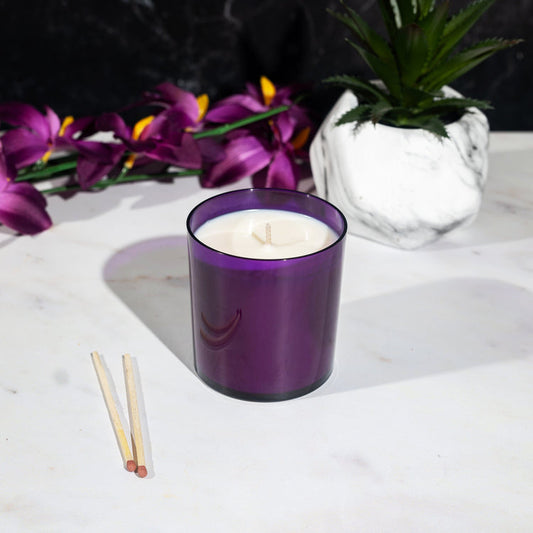 2 x Outdoor Citronella Scented Purple Colour Filled Glass Candles