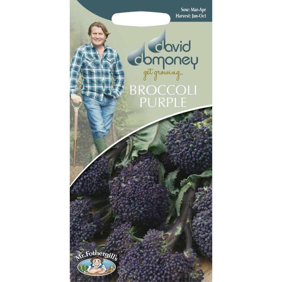 Mr Fothergills - David Domoney Broccoli Sprouting - Purple - 150s