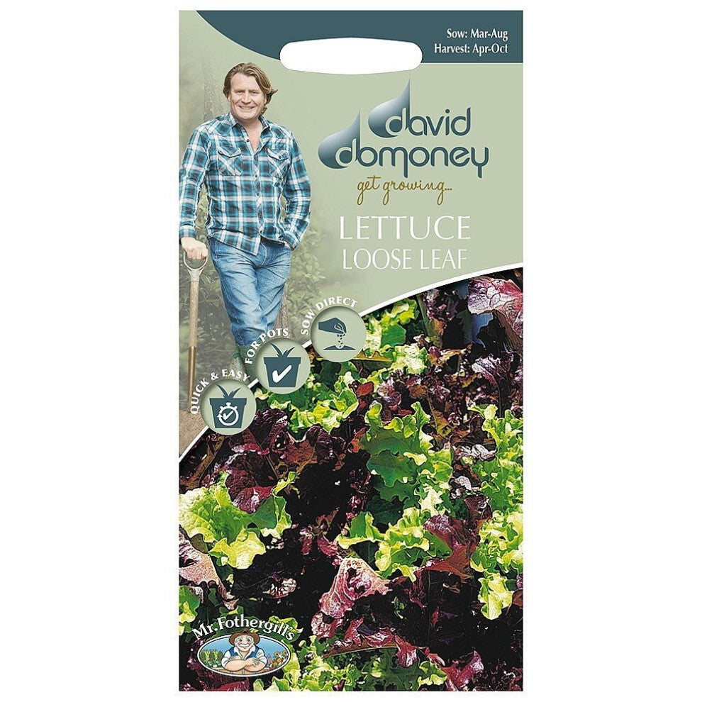 Mr.Fothergill's David Domoney Vegetable Lettuce Loose Leaf Seeds PKT