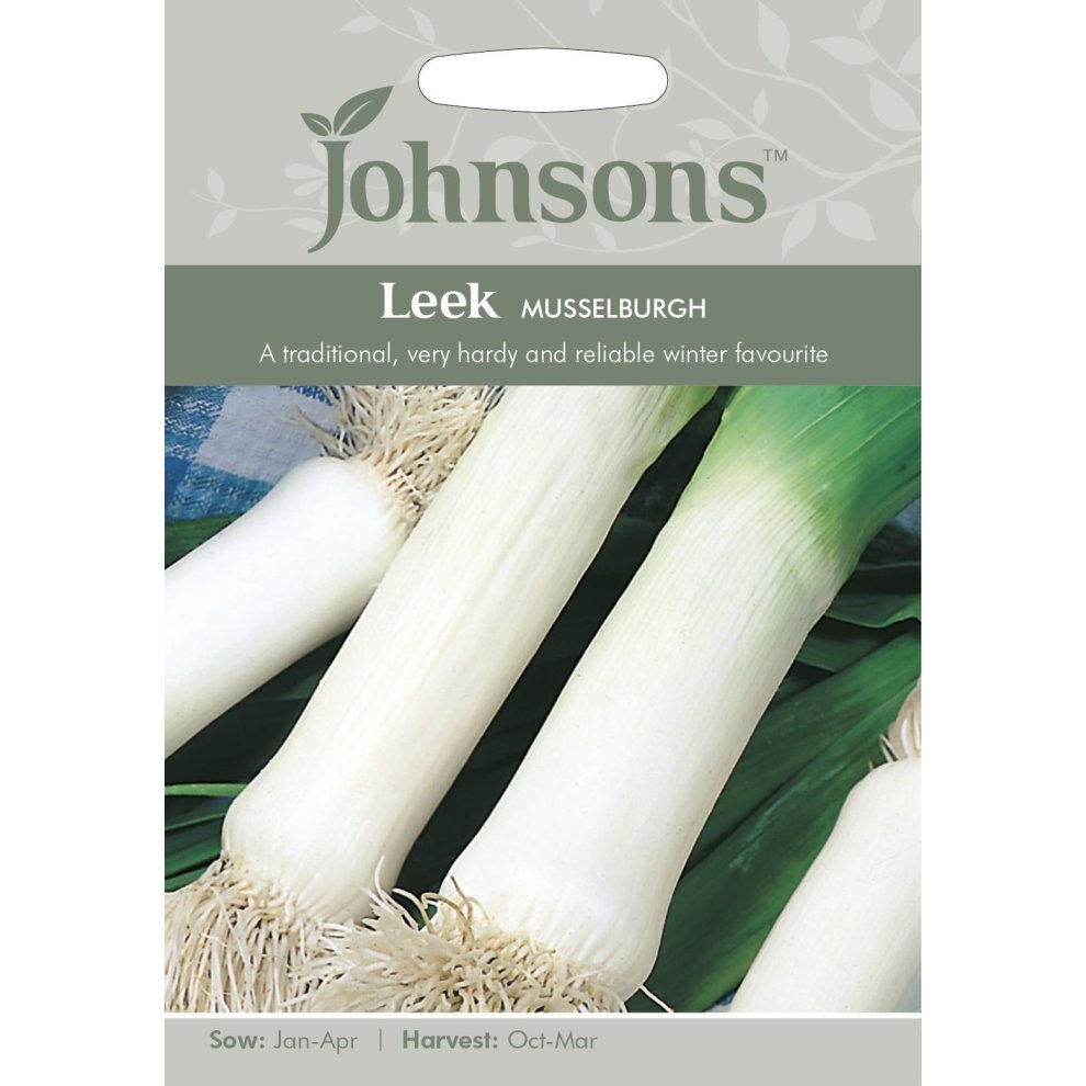 Johnsons Seeds - Pictorial Pack - Vegetable - Leek Musselburgh - 500 Seeds