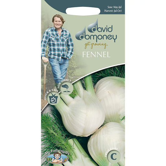 Mr FothergillsDavid Domoney (Florence) Chiarino Fennel Seeds